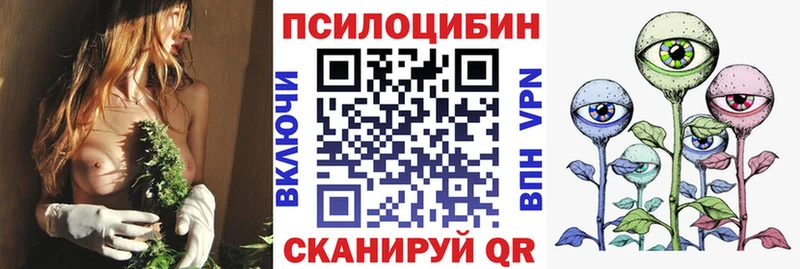Галлюциногенные грибы Cubensis закладки Ак-Довурак